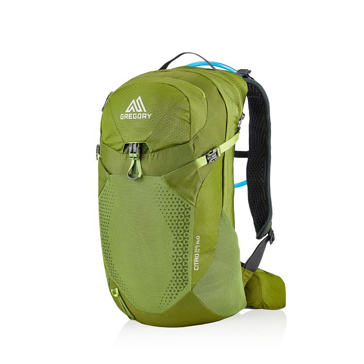 Men Gregory Citro 24 H2O Hiking Backpack Green Sale QFDR93450